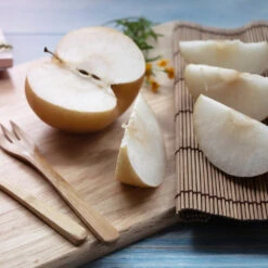 20th Century (Nijisseiki) Asian Pear 6 20th Century (Nijisseiki) Asian Pear -Fruit Tree Shop 20thCentury Pear 1 FGT