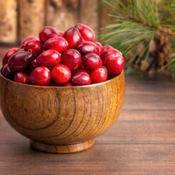 American Cranberry -Fruit Tree Shop American Cranberry 6 FGT