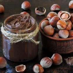 American Hazelnut Filbert -Fruit Tree Shop American Hazelnut 1