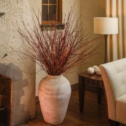 Arctic Fire® Red Twig Dogwood 10 Arctic Fire® Red Twig Dogwood -Fruit Tree Shop Arctic Fire Twig Dogwood 6 FGT