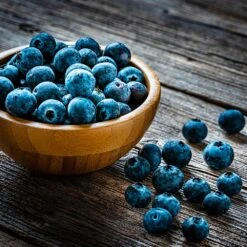 Aurora Blueberry Bush -Fruit Tree Shop Aurora Blueberry 4