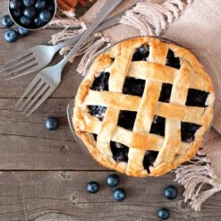 Aurora Blueberry Bush -Fruit Tree Shop Aurora Blueberry 5