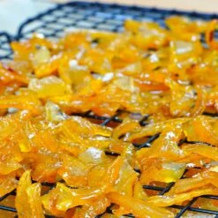 Buddha's Hand Citron Tree -Fruit Tree Shop BUddhas Hand Citrus 5 d0b5e29b 00e2 44d7 8828 01d6eb2254cf