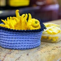 Buddha's Hand Citron Tree -Fruit Tree Shop BUddhas Hand Citrus 6 FGT 8e440ac0 ef1a 452e 8576 5c1e7bf4eb5a