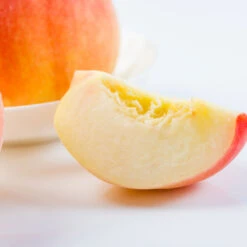 Belle Of Georgia Peach Tree (USDA Organic) 8 Belle Of Georgia Peach Tree (USDA Organic) -Fruit Tree Shop Belle of Georgia 3