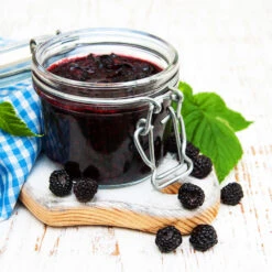 Big Daddy Blackberry Bush -Fruit Tree Shop Big Daddy Blackberry 3