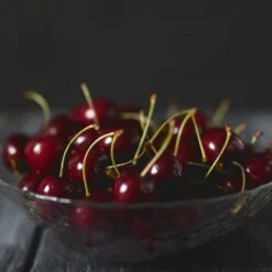 Black Tartarian Cherry Tree 8 Black Tartarian Cherry Tree -Fruit Tree Shop Black Tartarian Cherry Tree 2 FGT