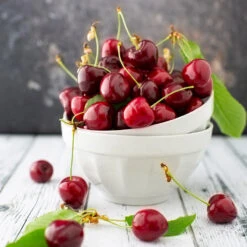 Brooks Cherry Tree -Fruit Tree Shop Brooks Cherry Tree 5 FGT