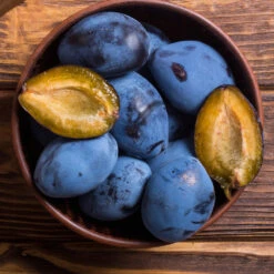 Brooks Plum Tree -Fruit Tree Shop Brooks Plum 2