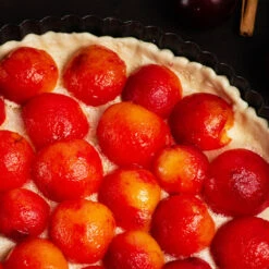 Bubblegum 'Toka' Plum Tree -Fruit Tree Shop Bubblegum Toka Plum 3