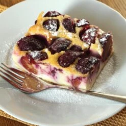 Burgundy Plum Tree -Fruit Tree Shop Burgundy Plum 3