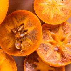 Chocolate Persimmon Tree 5 Chocolate Persimmon Tree -Fruit Tree Shop CHocolate Persimmon 2