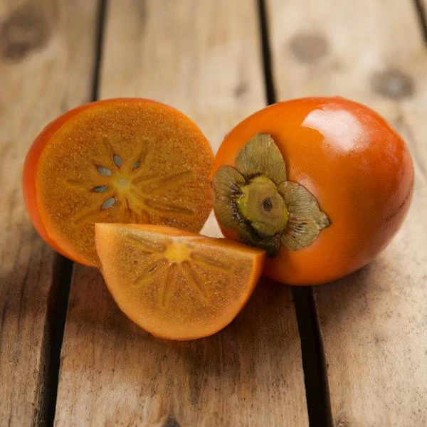 Chocolate Persimmon Tree 2 Chocolate Persimmon Tree - Image 2