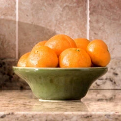 Calamondin Bush -Fruit Tree Shop Calamondin Bush 4