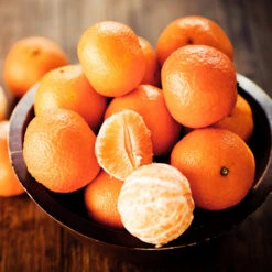 California Honey Mandarin Tree -Fruit Tree Shop California Mandarin 5