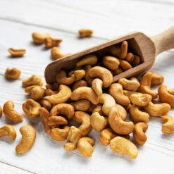 Cashew Tree -Fruit Tree Shop Cashew Nut Tree 5