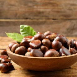 Chinese Chestnut Tree -Fruit Tree Shop Chinese Chestnut 3 FGT