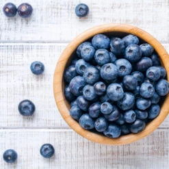 Climax Blueberry 10 Climax Blueberry -Fruit Tree Shop Climax Blueberry 4