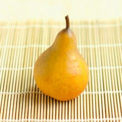 Comice Pear Tree -Fruit Tree Shop Comice Pear 2 FGT bed8e3b3 6b31 43c6 9eb7 82aa992926bb