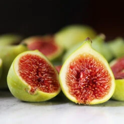 Desert King Fig Tree 7 Desert King Fig Tree -Fruit Tree Shop DEsert King FIg 3