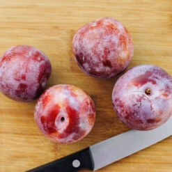 Dapple Dandy Pluot Tree -Fruit Tree Shop Dapple Dandy 2