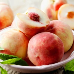 Early White Giant Peach Tree 5 Early White Giant Peach Tree -Fruit Tree Shop Early White Giant Peach Tree 450 D1