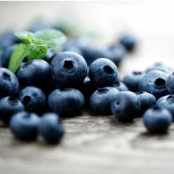 Elliot Blueberry Bush -Fruit Tree Shop Elliot Blueberry 450 D2