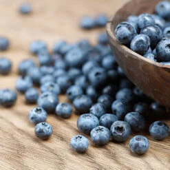 Emerald Blueberry Bush 5 Emerald Blueberry Bush -Fruit Tree Shop Emerald Blueberries 1