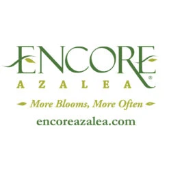 Autumn Debutante® Encore® Azalea -Fruit Tree Shop Encore Logo 1000x1000 c29f00dd 100e 4ccb 98e4 22e187bc4aca