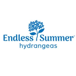 Endless Summer® Summer Crush® Hydrangea -Fruit Tree Shop Endless Summer Hydrangeas 1000x1000 347a4889 45a5 42f4 94f1 e0220955e380