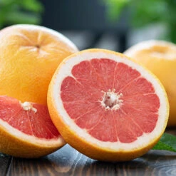 Flame Grapefruit Tree 5 Flame Grapefruit Tree -Fruit Tree Shop Flame Grapefruit 1