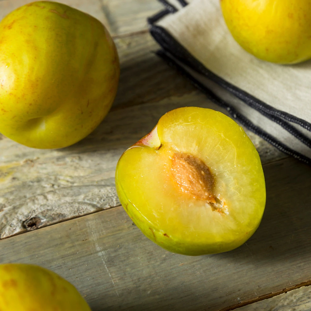 Flavor Queen Pluot® 3 Flavor Queen Pluot® - Image 3