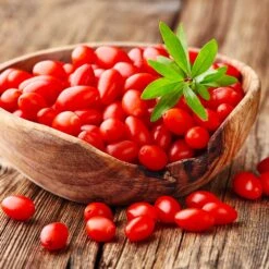 Goji Berry -Fruit Tree Shop Goji Berry 4