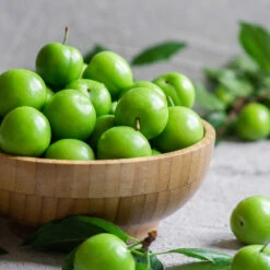 Green Gage Plum -Fruit Tree Shop Green Gage Plum 2