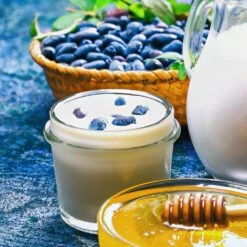 Indigo Gem Haskap (Honeyberry) -Fruit Tree Shop Indigo GEm Haskap 1