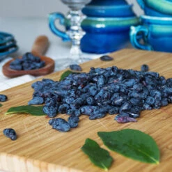 Indigo Treat Haskap (Honeyberry) 6 Indigo Treat Haskap (Honeyberry) -Fruit Tree Shop Indigo Treat Hascap 2 BB