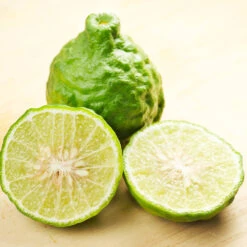 Kaffer 'Kieffer' Lime Tree -Fruit Tree Shop Kaffir Lime 7 FGT