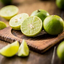 Key Lime Tree - USDA Organic -Fruit Tree Shop Key Lime Tree 5 FGT da9b0536 ead5 46ca b8b5 d82cfb777942