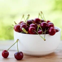 Lapins Cherry Tree -Fruit Tree Shop Lapins Cherry Tree 2 FGT 325a18e6 7143 4729 a41b b0d9614909b8