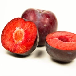 Methley Plum Tree -Fruit Tree Shop Methley Plum 3 6230ed7a 5c4e 4b03 88d0 ad8f75f62363