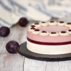 Methley Plum Tree -Fruit Tree Shop Methley Plum 5 d1cf4da0 c7c8 4a54 8dce 9916c07f2fa6