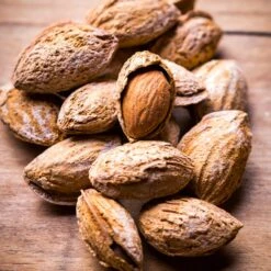 Nonpareil Almond Tree -Fruit Tree Shop Nonpareil Almonds 3