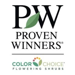 Sprinter® Boxwood Shrub -Fruit Tree Shop PW Logo CC 1000x1000 c7e5005e 0826 4154 86ed def94c16a032