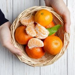 Page Mandarin Tree 7 Page Mandarin Tree -Fruit Tree Shop Page Mandarin Tree 2 FGT