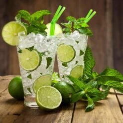 Persian 'Bearss' Lime Tree -Fruit Tree Shop Persian Lime Tree 4 FGT