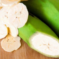 Puerto Rican Plantain Banana Tree -Fruit Tree Shop Puerto Rican Plantain Banana Tree 3