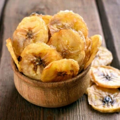 Puerto Rican Plantain Banana Tree -Fruit Tree Shop Puerto Rican Plantain Banana Tree 8