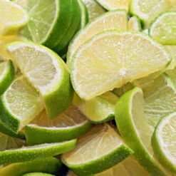 Persian 'Bearss' Lime Bush -Fruit Tree Shop Pursian Lime Bush 1 FGT 8e948345 4f0b 4e96 a96f a17b7b31b7ab