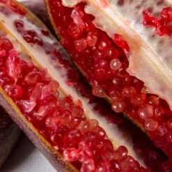 Red Finger Lime Tree -Fruit Tree Shop Red FInger Lime 1 1453b836 c1a1 4844 92f1 11e49d09cc4d