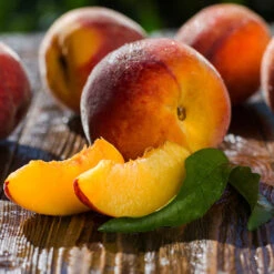 Red Baron Peach Tree -Fruit Tree Shop Red Baron Peach 4